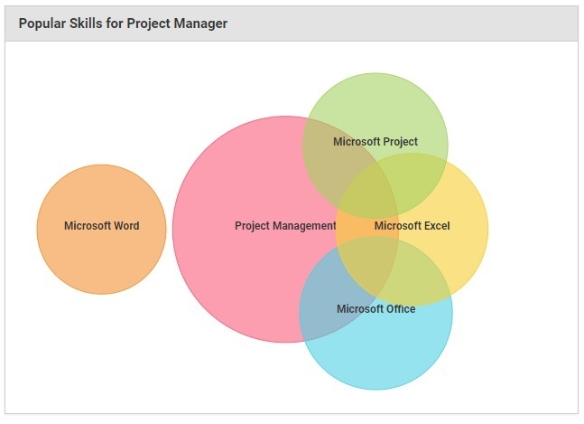 Next Step Towards a Successful Project Manager Career Path